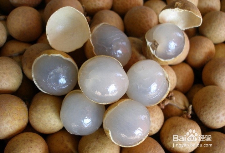 夏季食用水果科学方法