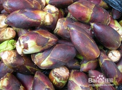 常见清热解毒野菜 百度经验 常见清热解毒野菜 百度经验