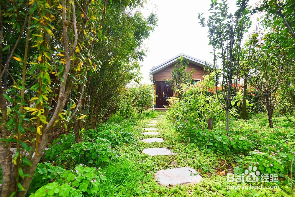 组团来许昌鄢陵,来浪漫步庭玫瑰农庄团餐超值