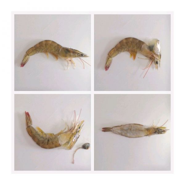 五彩缤纷时蔬海鲜拼盘