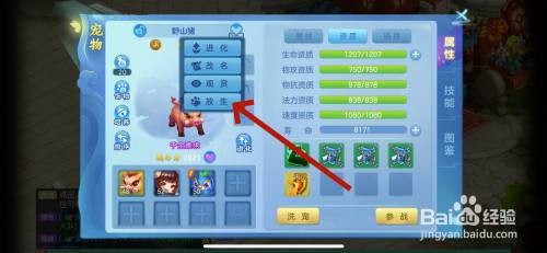 如何在梦想世界3中放生宠物