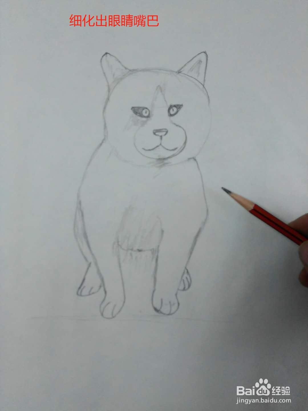 水彩画坐着的小猫的画法