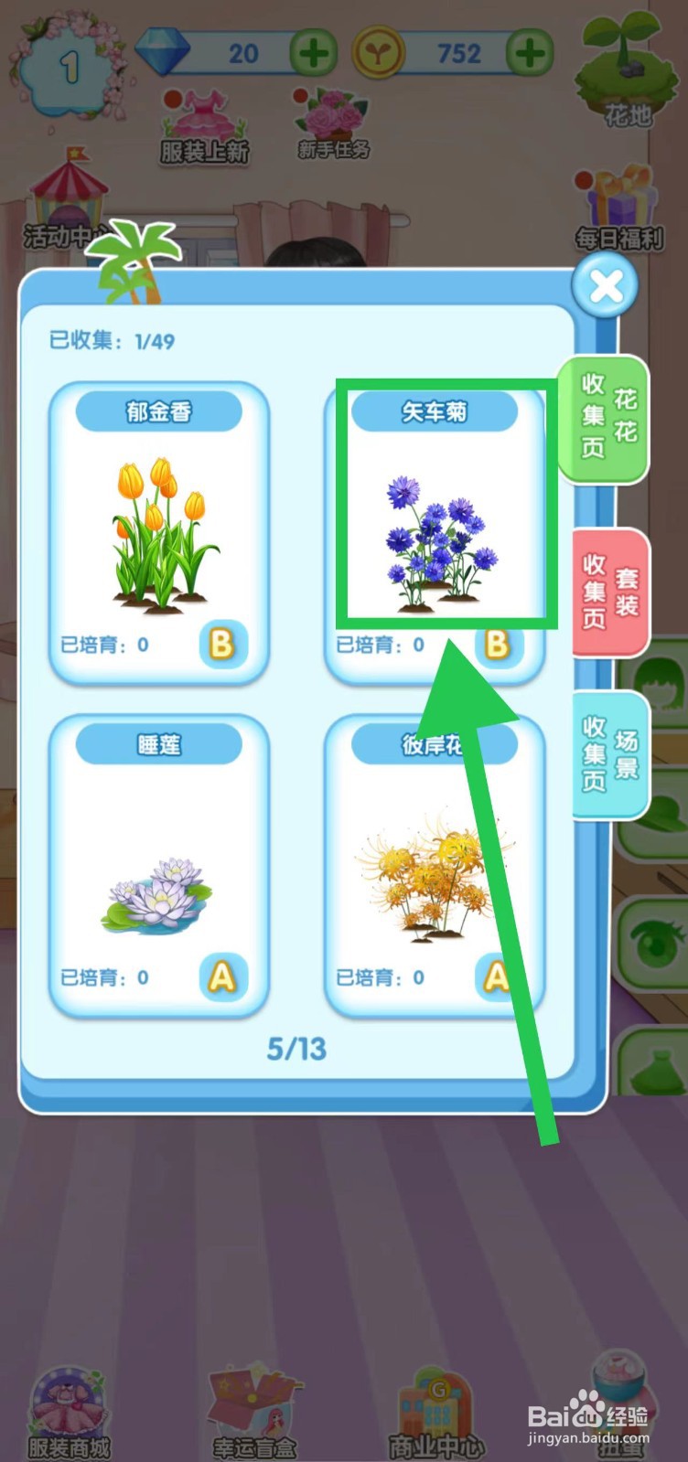 花花姑娘之魔法花园怎么查看矢车菊的生长速度