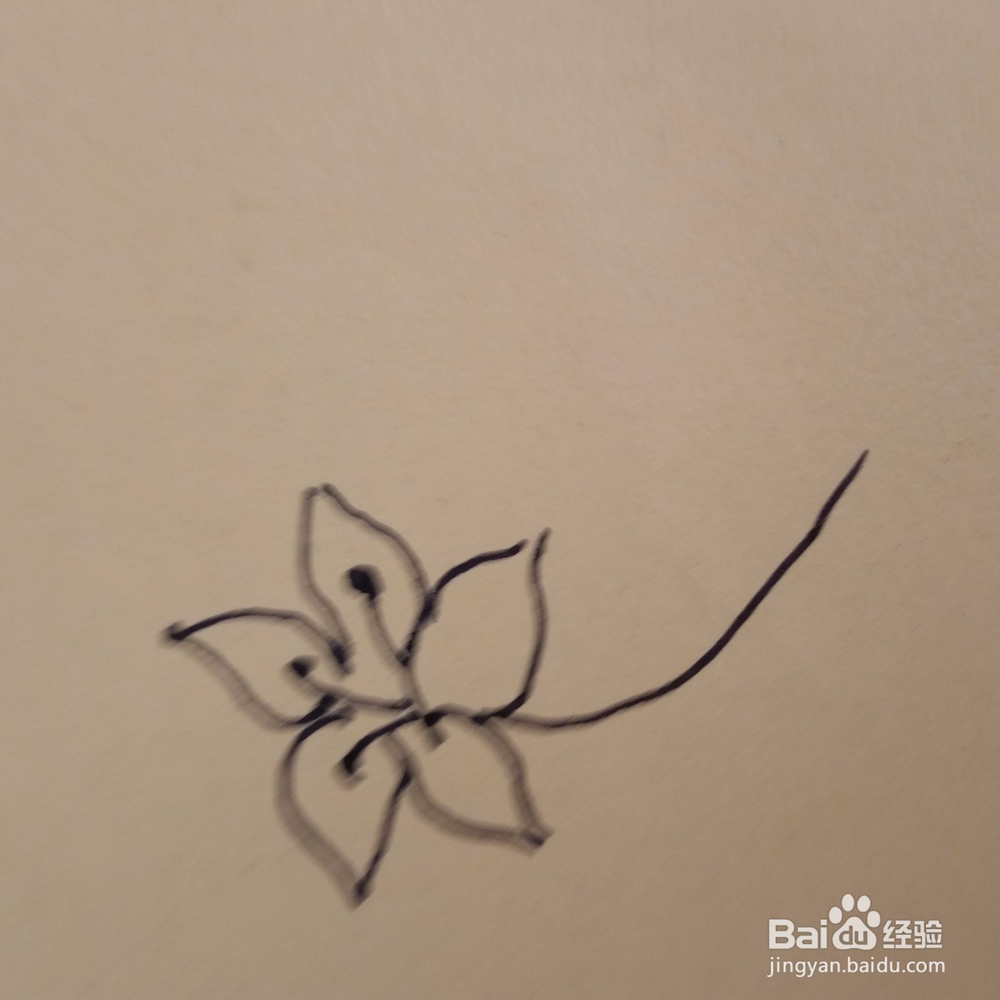 桔梗儿童手工简笔画教程