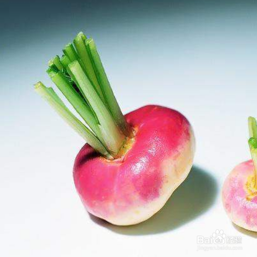 芜菁甘蓝的培育方法和注意事项