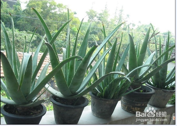 关注室内环境问题,新房装修后多久可以入住