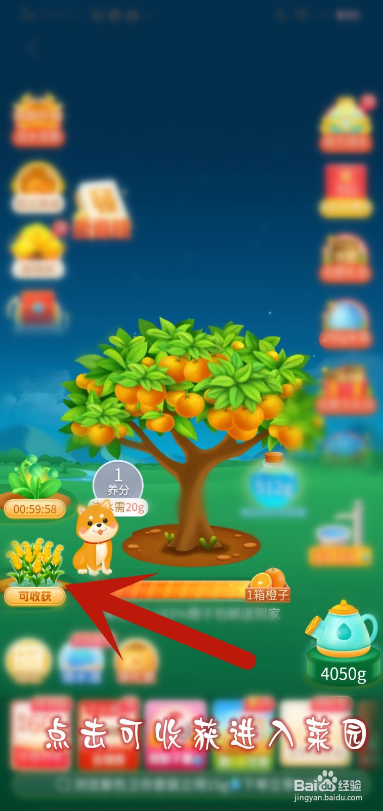 多多菜园怎么领滚滚福利闹元宵