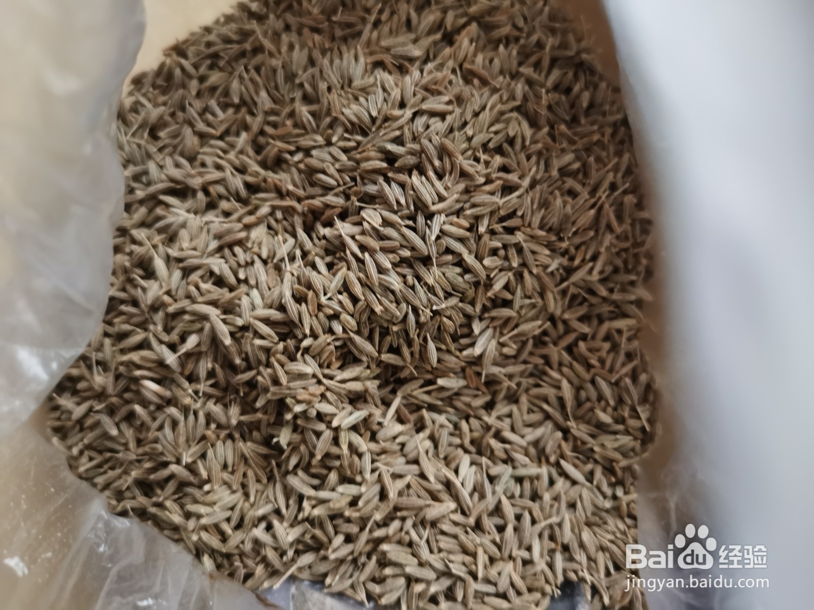 孜然婆婆丁烙饼