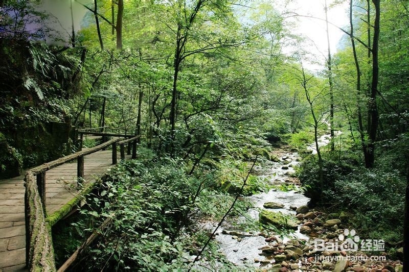 重庆到张家界旅游