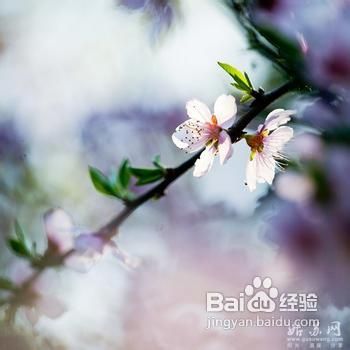 惊蛰时节如何养生