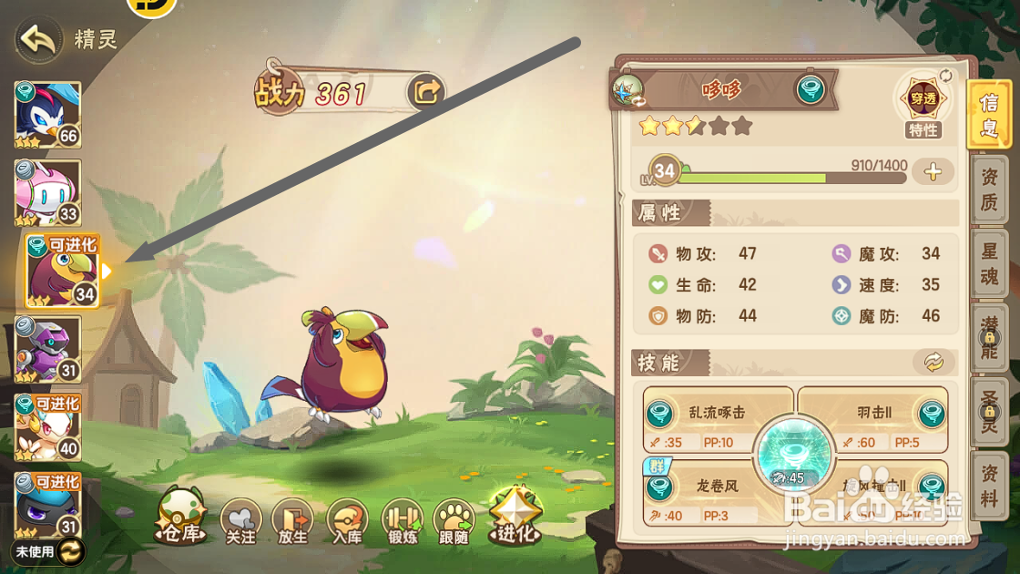 西普大陆如何查看哆哆的【主要分布】？