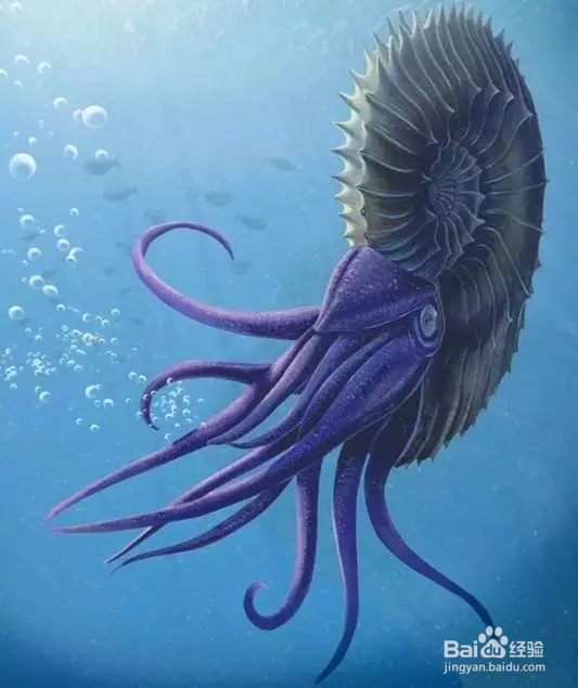 侏罗纪最强的海洋生物是哪些？强在哪？