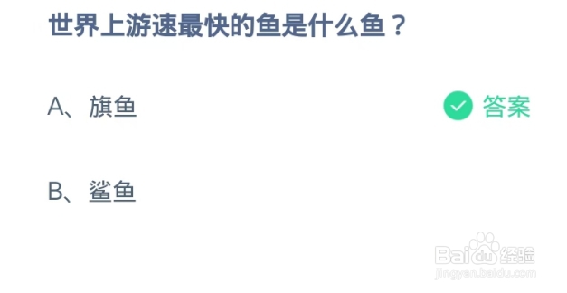 蚂蚁庄园2024.10.25世界上游速最快的鱼是什么鱼