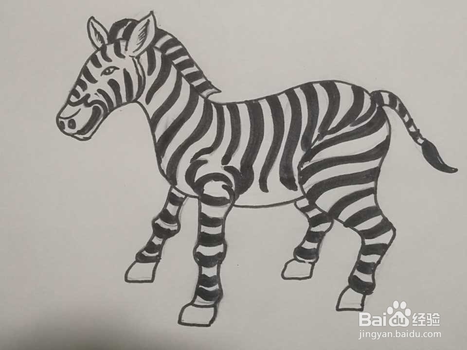 斑马简笔画怎么画