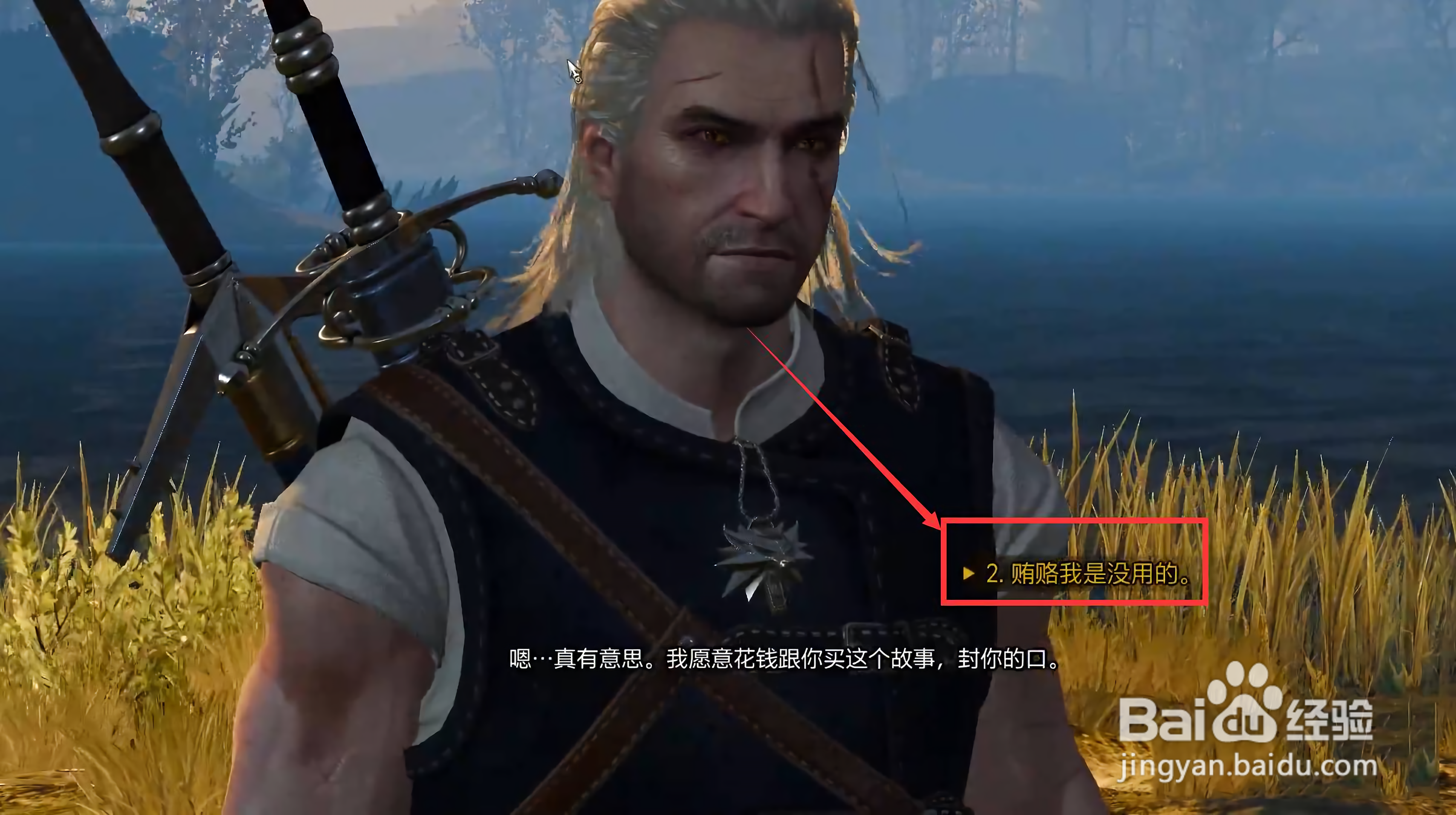 巫师3牧师贿赂怎么选