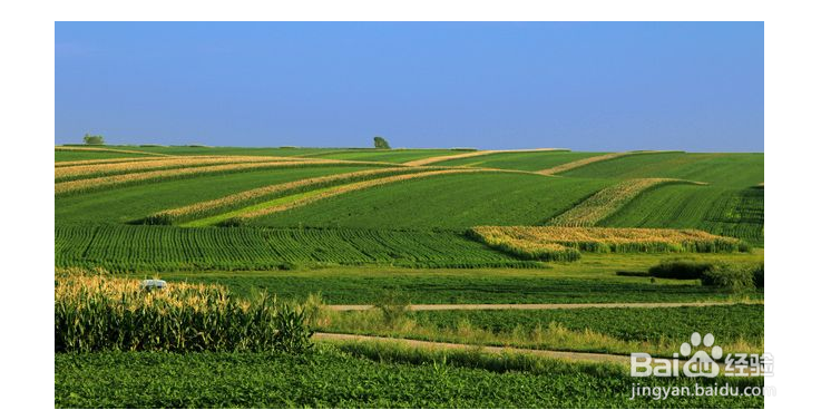 耕地保护政策有哪些？