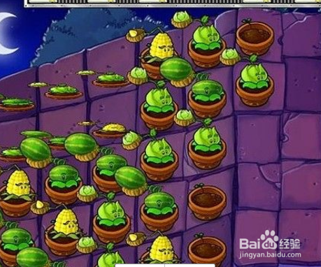 植物大战僵尸屋顶9-10关攻略