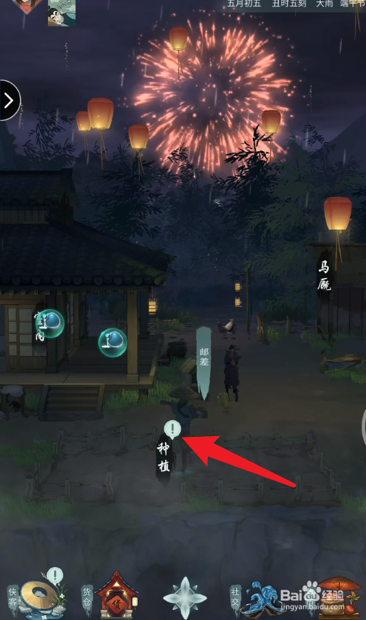 萝卜是怎么播种子的