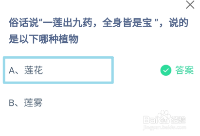 俗话说一莲出九药说的是以下哪种植物蚂蚁庄园