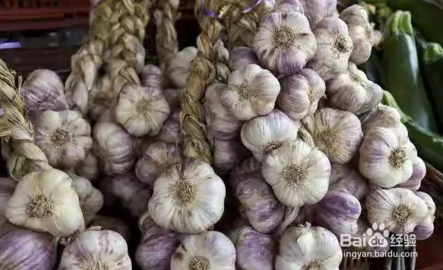 防止大蒜发芽的保存方法