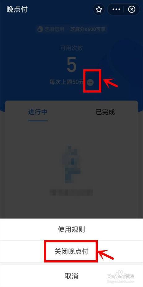 晚点付怎么关闭