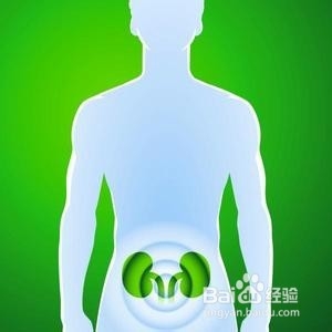 四季如何排出体内毒素