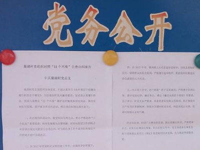 自查报告格式要求