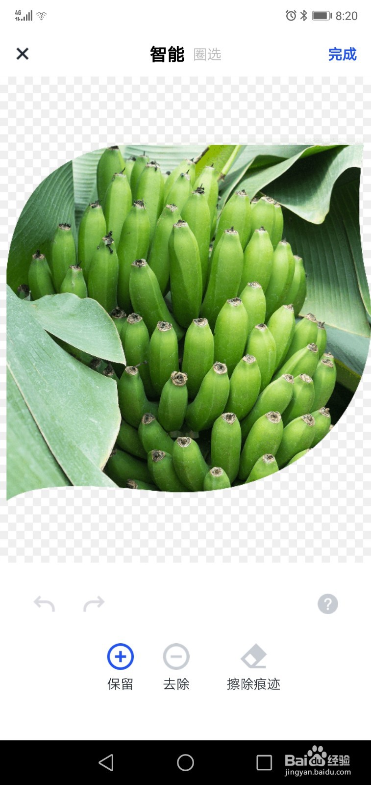 美人蕉广告设计