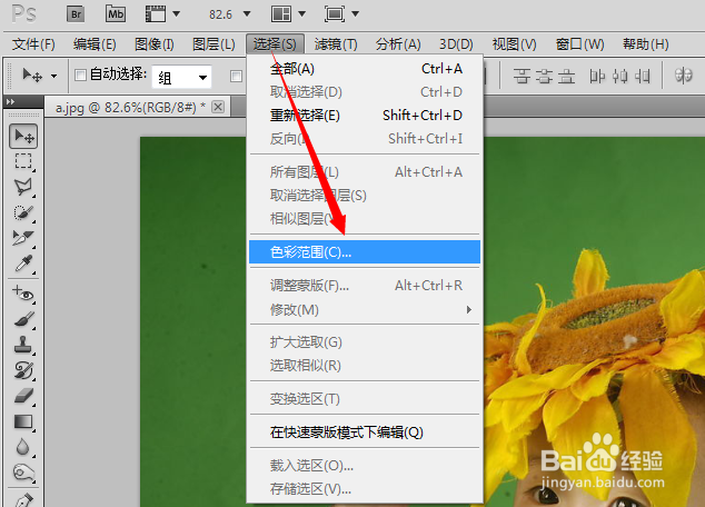 PS抠图技巧：[3]PS如何用色彩范围命令抠图？