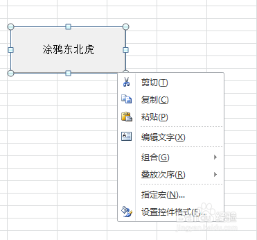 利用VBA代码涂鸦东北虎