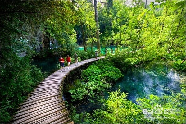 克罗地亚十六湖国家公园 欧洲的“九寨沟”