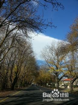 学院街攻略：[57]阿德雷德大学娱乐攻略