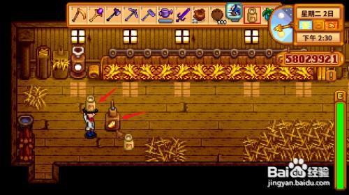 星露谷物语奶酪怎么获得