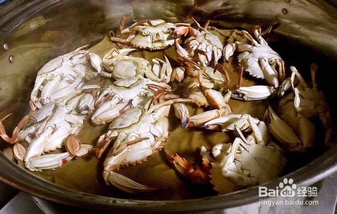 清蒸美味花盖蟹