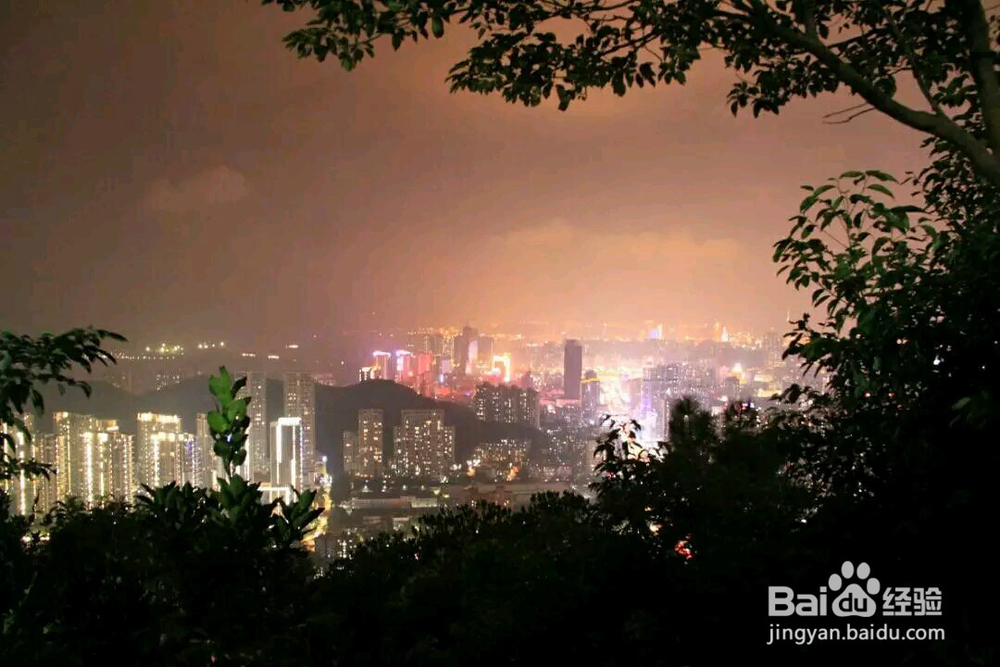 站在板樟山上往外望的夜景 千姿百态的美