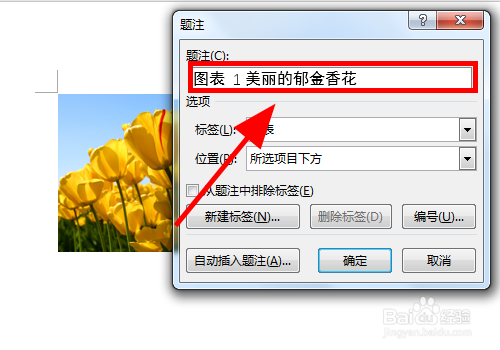 Word文档中怎么给图片添加标注注解信息
