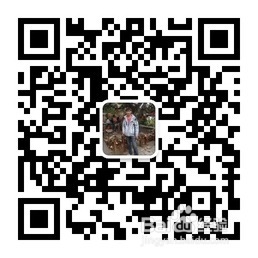 冬季吃什么蔬菜养生