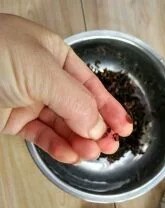 真样鉴别真假黑米、黑花生？