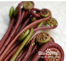 春天多吃这几种野菜