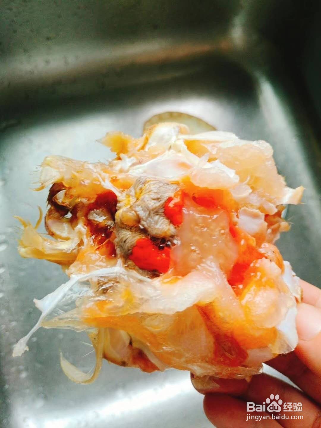 海鲜蟹——咖喱面包蟹