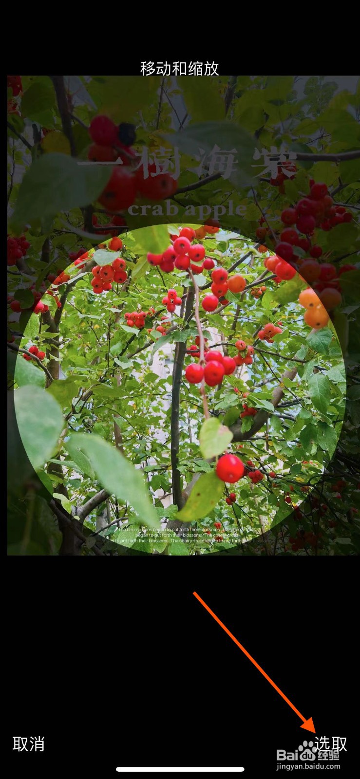 央视频APP如何更换头像？