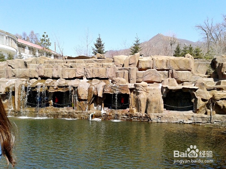 蜂蜜的几大功效,我和小伙伴们都惊呆了。