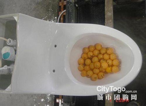 怎样选购家用马桶