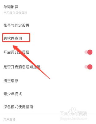 网易有道词典如何开启跨软件查词功能