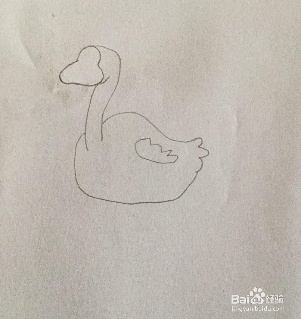 白天鹅简笔画教程