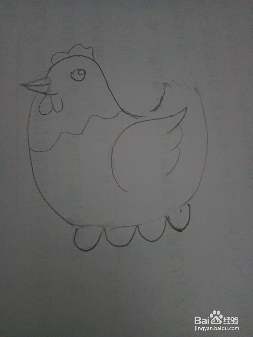 简笔画老母鸡下蛋的画法