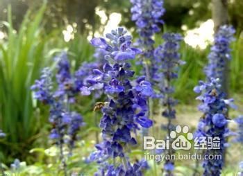 如何淡化痘痕几个支招祛疤给力