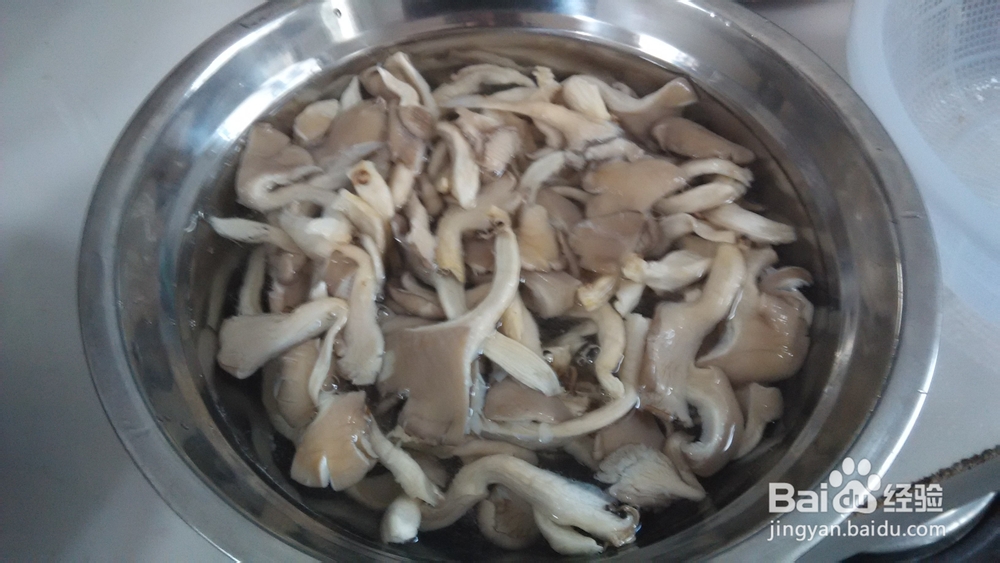 好吃的平菇炒肉做法