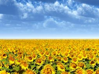 每天做到这几件事，不久以后你就会改变