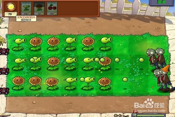 植物大战僵尸的攻略?(三)